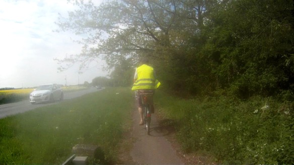 A typical scene along the A10 shared-use path: a narrow strip of tarmac with encroaching trees, overgrown edges, a cracked surface and a wide verge